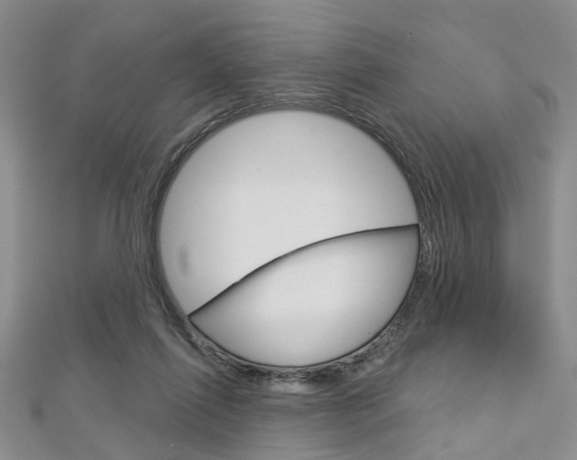 X0000113160262200909040959