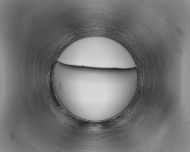 X0000113160263200909040959