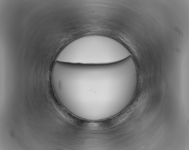 X0000113160265200909040959