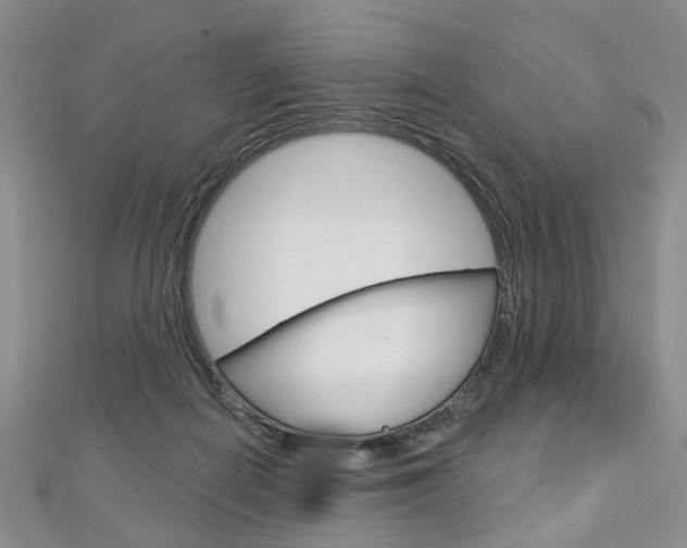 X0000113160266200909040959
