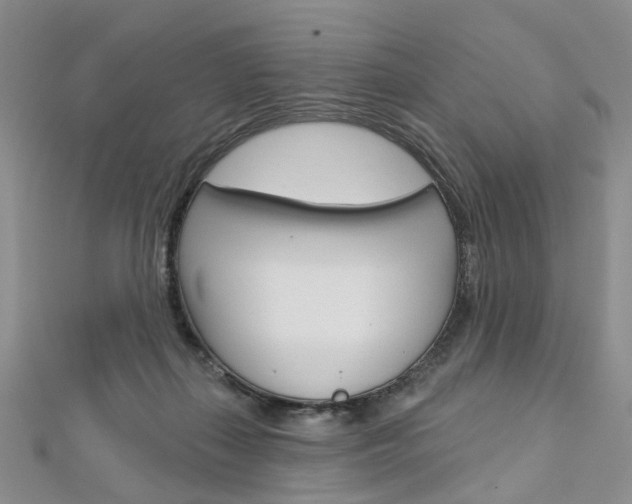 X0000113160267200909040959