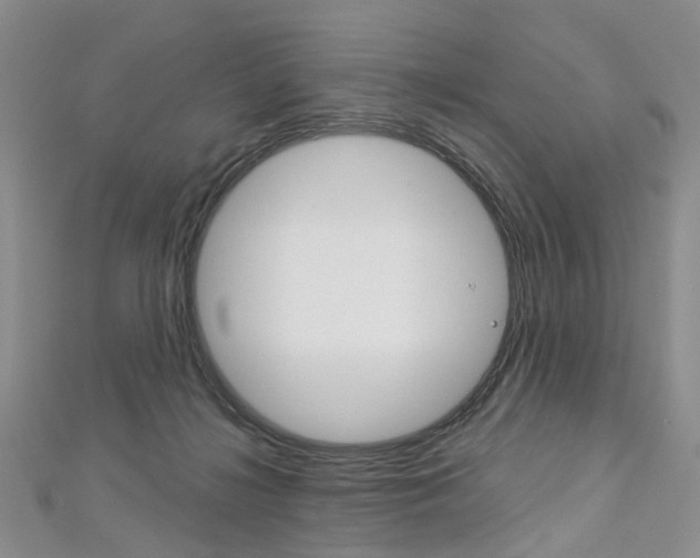 X0000113160268200909040959