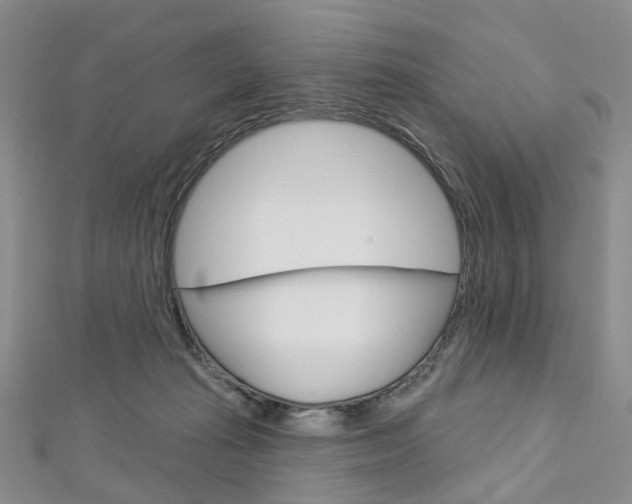 X0000113160269200909040959