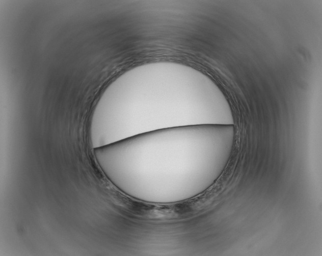 X0000113160270200909040959