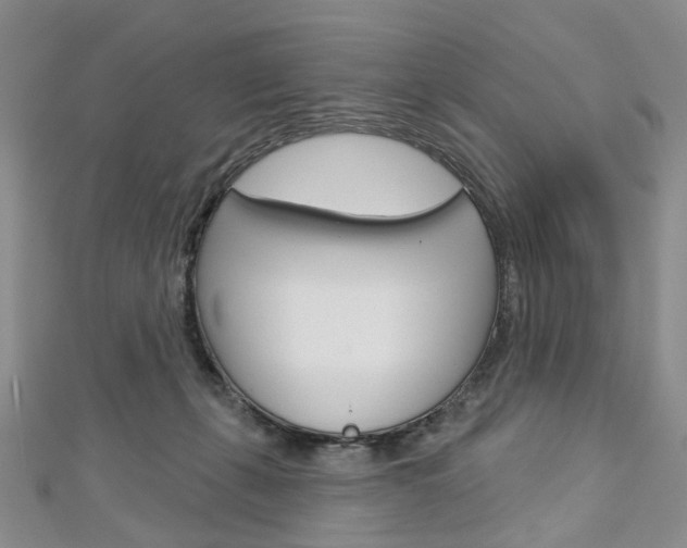 X0000113160271200909040959
