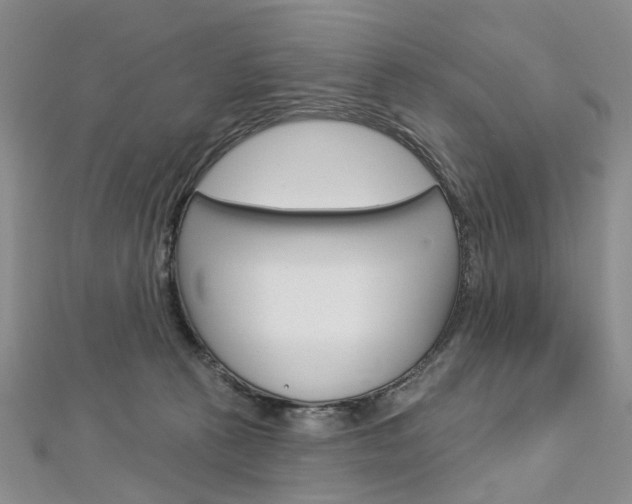 X0000113160273200909040959