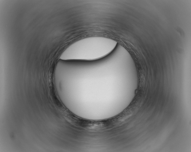 X0000113160274200909040959