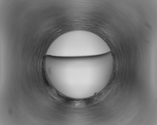 X0000113160275200909040959