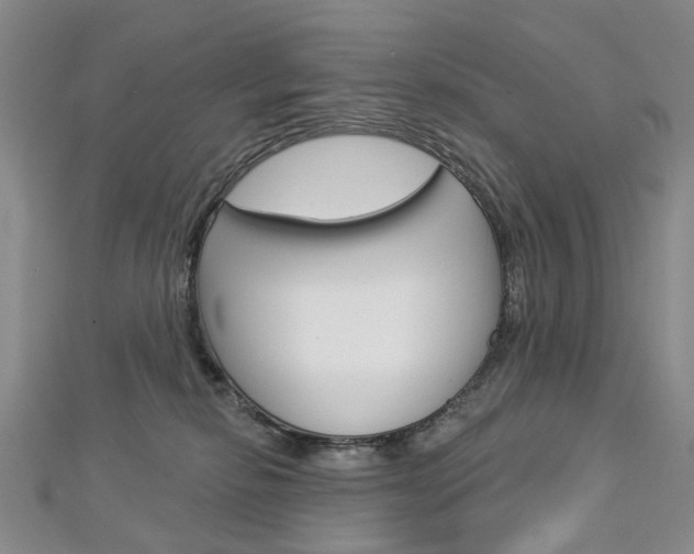 X0000113160278200909040959