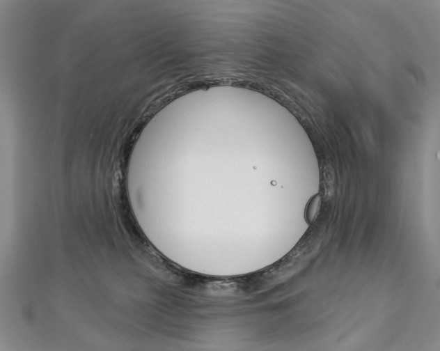 X0000113160279200909040959