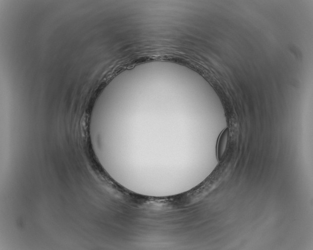X0000113160280200909040959