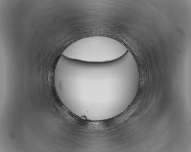 X0000113160281200909040959
