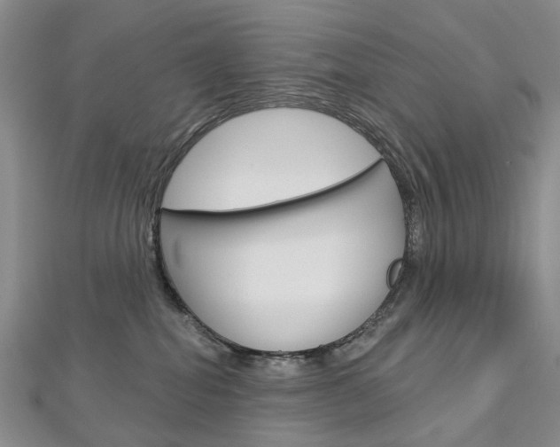X0000113160282200909040959