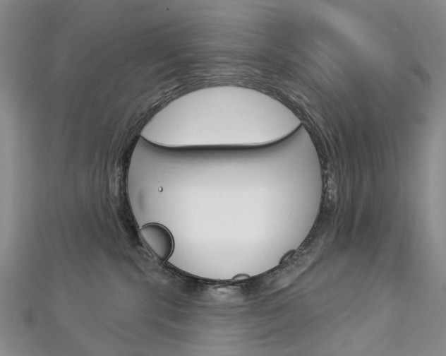 X0000113160283200909040959