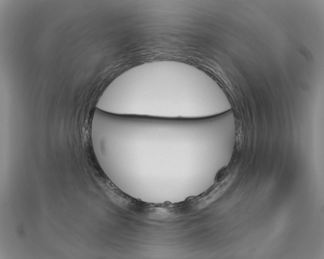 X0000113160285200909040959