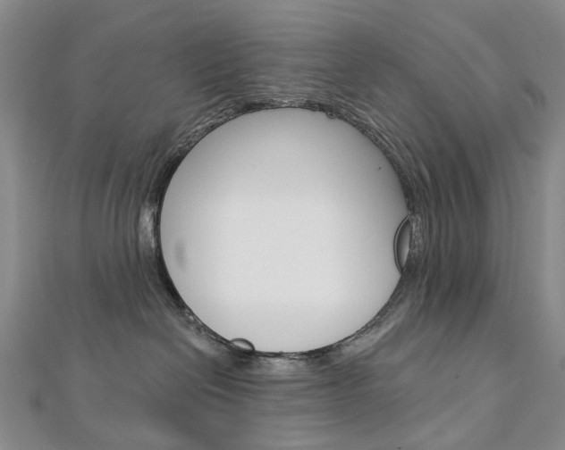 X0000113160286200909040959
