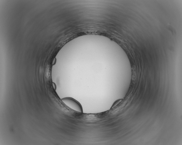 X0000113160287200909040959