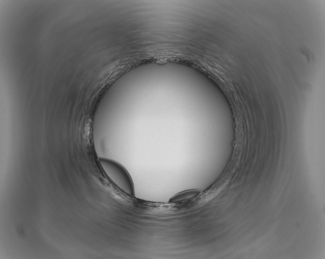 X0000113160288200909040959