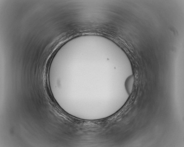X0000113160290200909040959