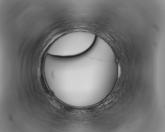 X0000113160291200909040959