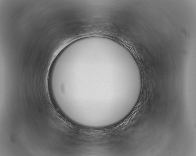 X0000113160292200909040959