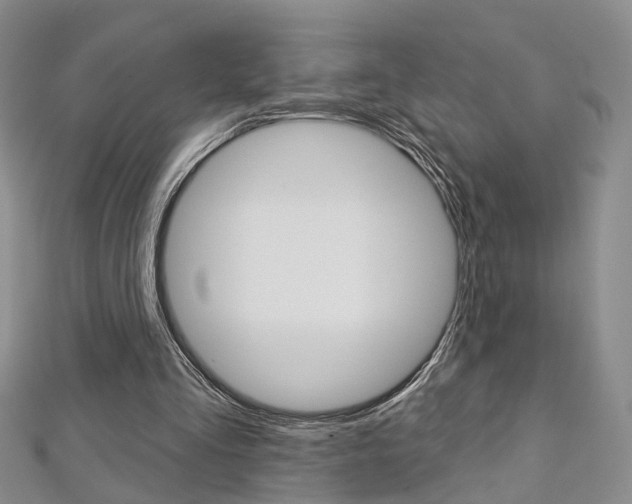 X0000113160293200909040959