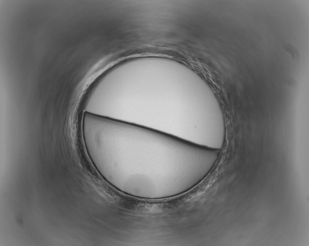 X0000113160295200909040959