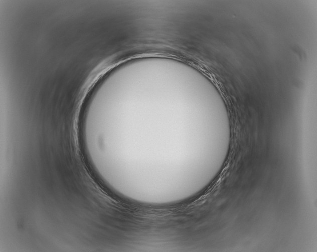 X0000113160296200909040959