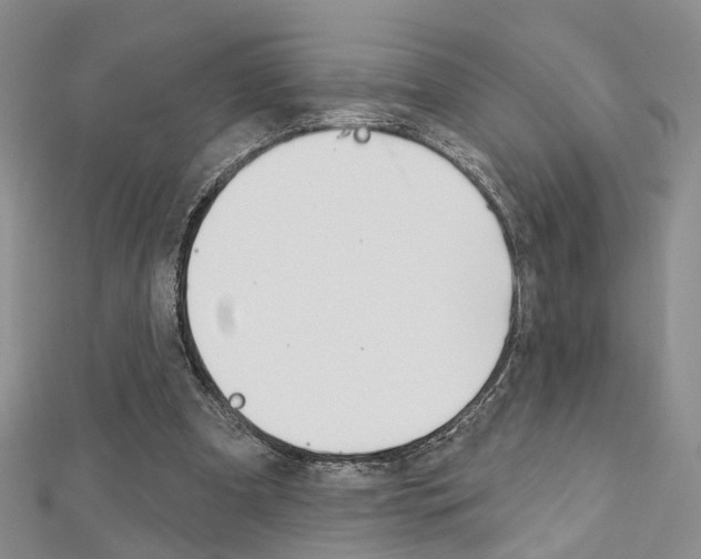 X0000113160297200909040959