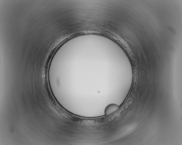 X0000113160298200909040959