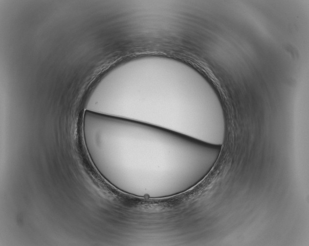 X0000113160299200909040959