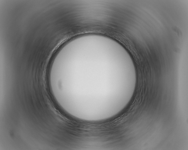 X0000113160300200909040959