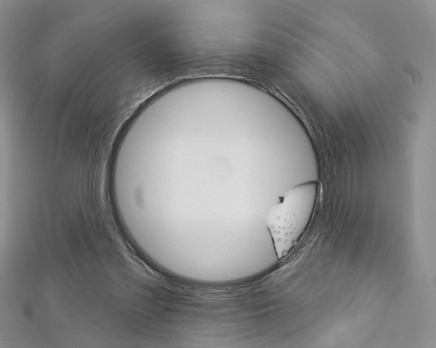 X0000113160301200909040959