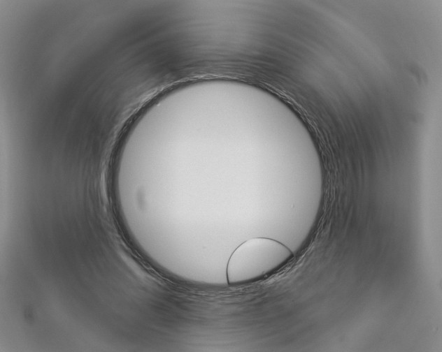 X0000113160302200909040959