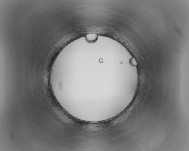 X0000113160305200909040958