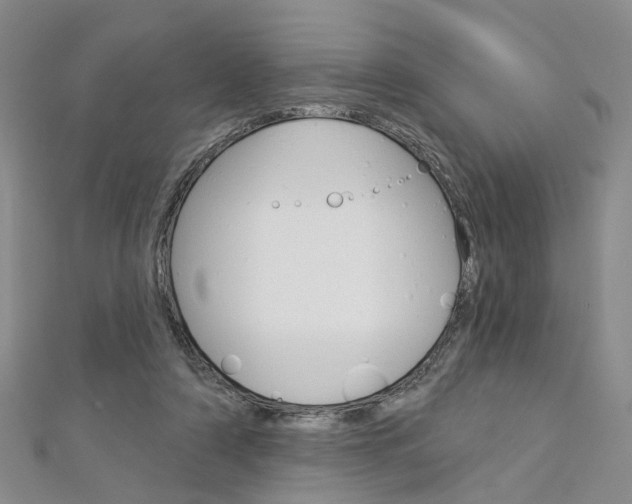 X0000113160306200909040958