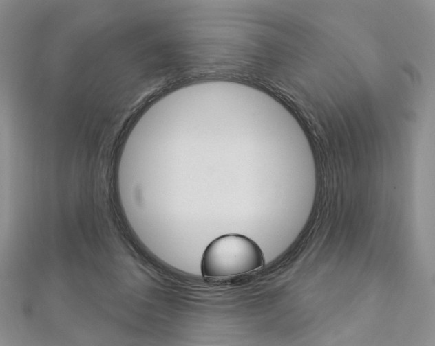 X0000113160308200909040958