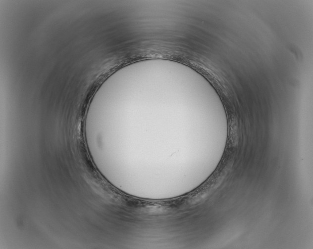 X0000113160310200909040958
