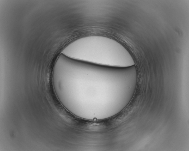 X0000113160315200909040958