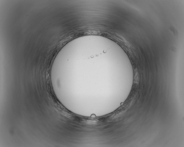X0000113160318200909040958