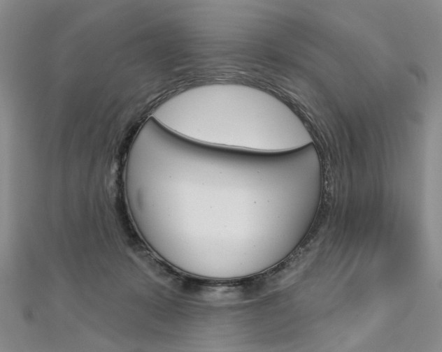 X0000113160319200909040958
