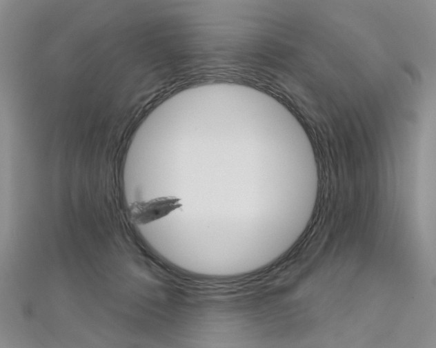 X0000113160320200909040958