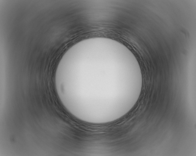 X0000113160324200909040958