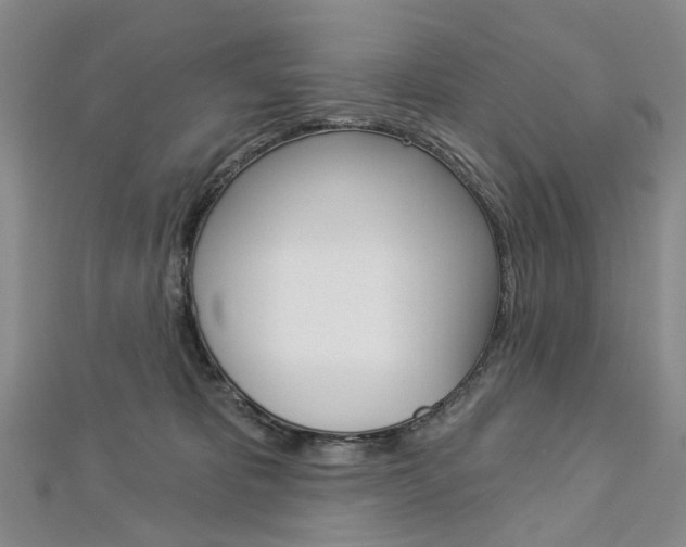 X0000113160325200909040958