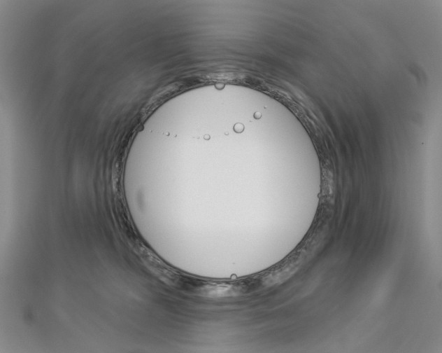 X0000113160326200909040958