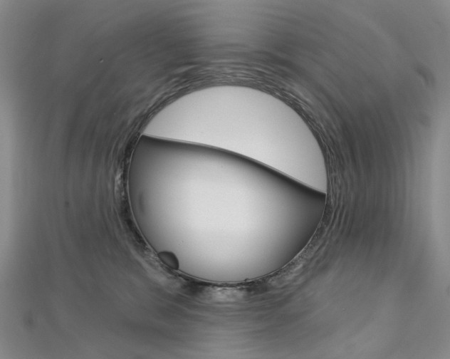 X0000113160327200909040958