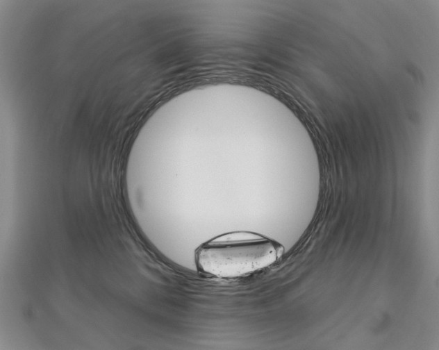 X0000113160328200909040958