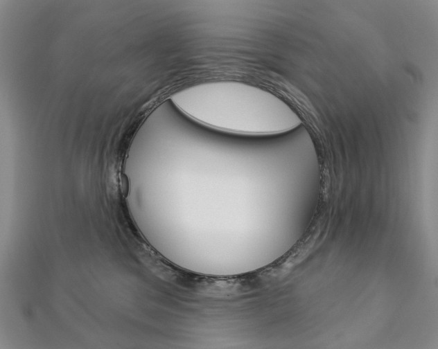 X0000113160329200909040958