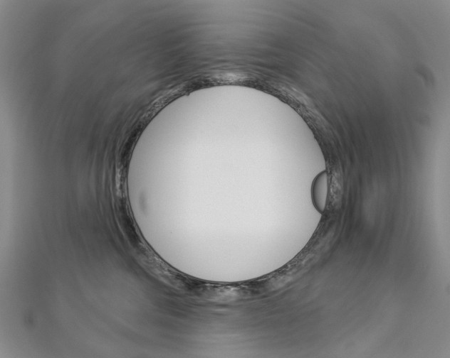 X0000113160330200909040958