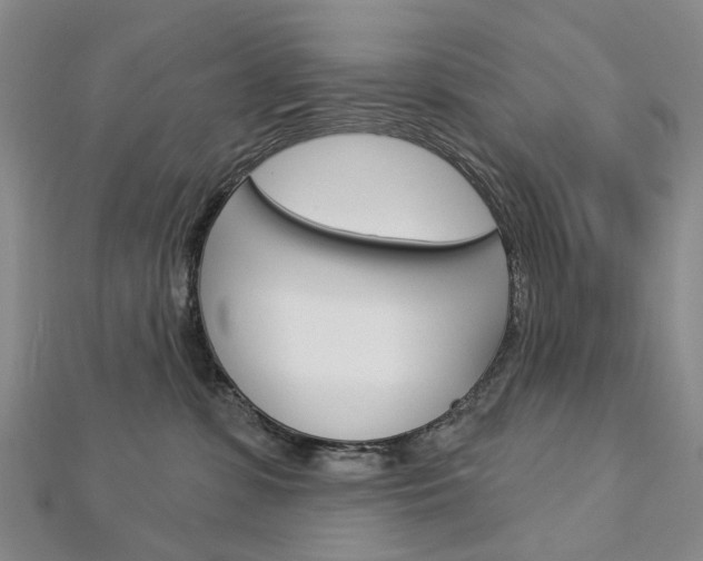 X0000113160331200909040958